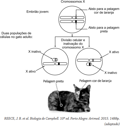 0_30a163a33dade1f0915130ce76030e45_5523774.jpg.png