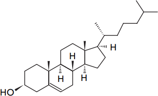 0_3178d58aa0cb69d93dd5b703e764ca8f_16188907.jpg.png