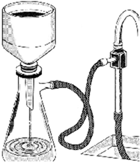 0_31eea40e7fc98a454a42349e4b183afc_14935504.jpg.png
