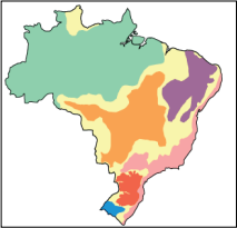 0_323903d538164913658bb0141d54b727_14703004.jpg.png