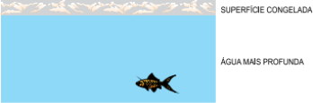 0_32efc62dc81c03d26c72cef6df9019d5_616089.jpg.png