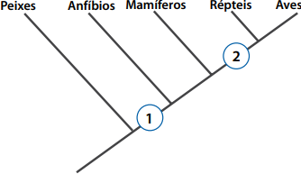0_35eb866cc3f4f89c454b69da48d2ce98_16004588.jpg.png
