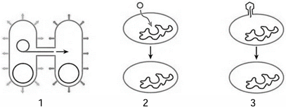 0_362b4977ca1b91c2e197481c830167f7_14976861.jpg.png