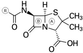 0_37c6ac8750d8ac81a5df34104c04acb1_12424924.jpg.png