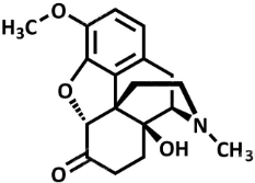 0_384765043069c1f7b8a0bb8a24c4aac8_15147149.jpg.png