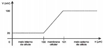 0_39cb890476611643c93e1ed568556e46_3210835.jpg.png