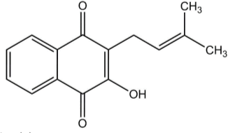0_3df2ff4389c5e40921a5c36f554b5e94_9798192.jpg.png