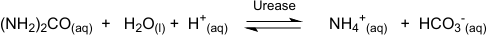 0_3e737f0ce374395b2851f3fcdcb81f59_14968977.jpg.png