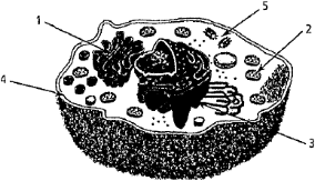 0_40d67ca5e91cc8478f90c0af2a80e2e7_11761551.jpg.png