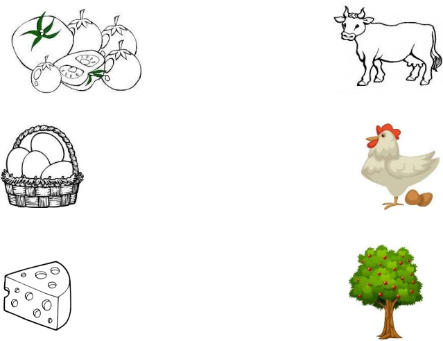 0_44b5c81d639bad012a2dd609f3dcff3a_12050579.jpg.png
