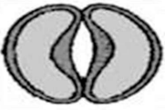 0_4570f29cddf3b5852660d48657e2a60b_15392392.jpg.png