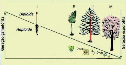 0_4743dd5adde9f184ea9207239db4799f_14704016.jpg.png