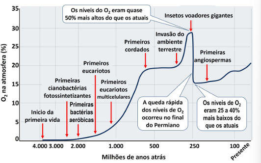 0_48cc6683a8d8ae6335eabd3aac76f1e6_14925653.jpg.png