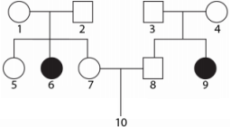 0_48cd611aba1c27817ba3a4e75e71d312_15410814.jpg.png