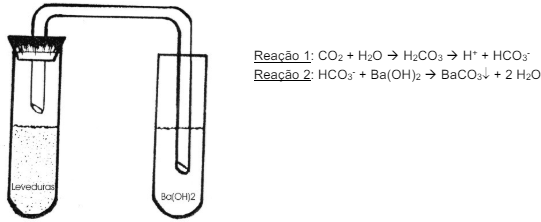 0_49fc241fe76504ef4ee1a07b6be7d493_11758122.jpg.png