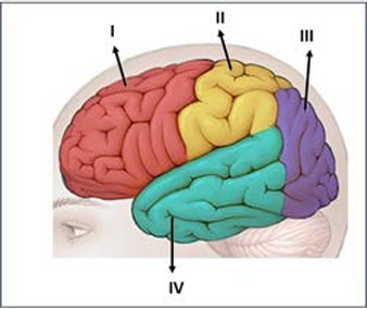 0_4c629f98d24bbf408af5d806ac1e25a2_15225710.jpg.png