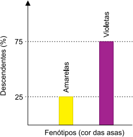 0_4ce8a2b0d09790ee39aef6727dcb8aa1_16012183.jpg.png