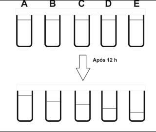 0_4d67e19dc7cd16ec6d59274aa7f44b43_14654913.jpg.png