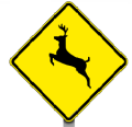 0_4d83f6875cbb19b7f505f3436aff0fef_11422579.jpg.png