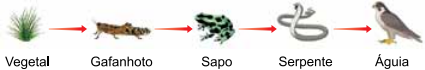 0_4d970dd2be48bc0b808f1c82880ba888_16155093.jpg.png