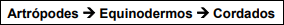 0_4faf494487c44674c5fdb2a88cbc8e73_16423675.jpg.png
