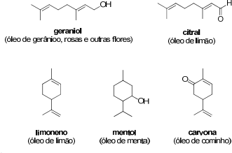 0_5170e247f7214d3b244f69cb874a76bb_15623541.jpg.png