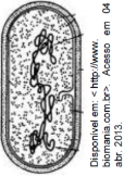 0_54f338435b042ddaa059d24b93523d35_11761444.jpg.png