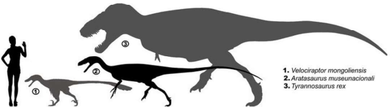 0_55befc98cd24b64898d1495b44931c70_15373391.jpg.png