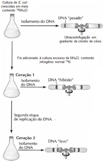 0_5642382185a85ec3b20db821de2cabb8_1372270.jpg.png