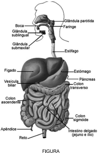 0_573151d4b69d091ccc355ca40a772043_14474466.jpg.png