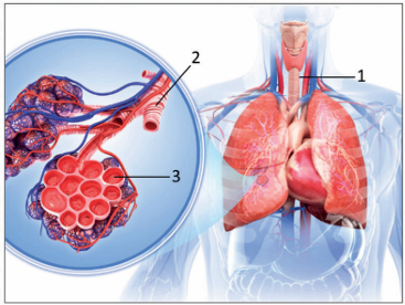 0_59fc9d150e2927eca25628bef3dca6d1_15146791.jpg.png