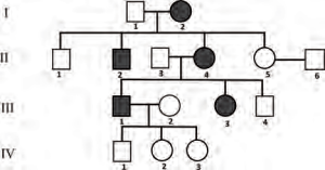 0_5ae906fcebf94d817c3ec08cc547ce15_14327028.jpg.png