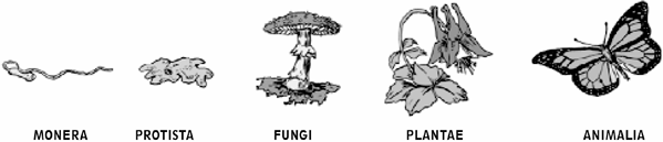 0_5d7cc848c43decdd202f6e0ab02fa3da_14994844.jpg.png