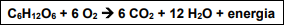 0_5db8e61807a90e032c365823f550c117_16423679.jpg.png