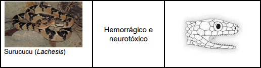 0_5e45fd6d86c9bde64f67408baee3f088_14654878.jpg.png