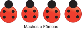 0_5fc5076293b59ded9b23757d8d1b19fb_15280061.jpg.png