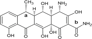 0_6259ed2d310304c598617dc84568f7da_14405766.jpg.png