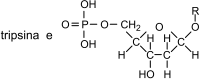 0_62648960228ab6f9a3a1a1ff46fa5796_16362466.jpg.png
