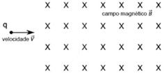 0_6573bdba6a4cdcabb3abe61d2b29d81f_14613523.jpg.png