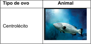 0_6844673be8613a772a9b54a7ca7ef99c_15183598.jpg.png