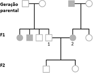 0_689ebd2824e2c111dab9c9b83cde5463_14708382.jpg.png