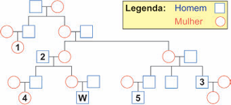 0_68e21814bddcb7382ed00c1ce114d3b5_14450014.jpg.png
