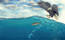 0_6926d4bf934fc83f31fe94a73ee28c09_11562447.jpg.png
