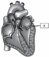 0_6aae8b1fb9760b7a0e8bcf7fa8693336_15178049.jpg.png