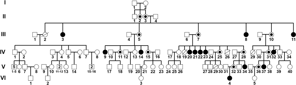 0_6ccbba9909952368395481c932505683_14557322.jpg.png