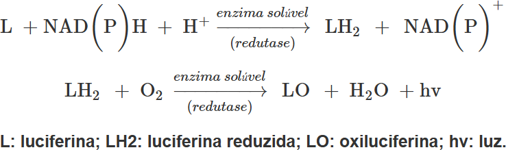0_6dbd72eff708e73ad64ff3b3bad04b74_6011861.jpg.png