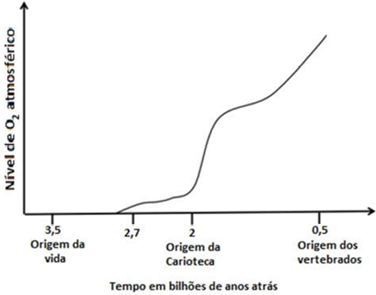 0_6dd29f834d41609b3a0ea72ee75069b2_14860829.jpg.png