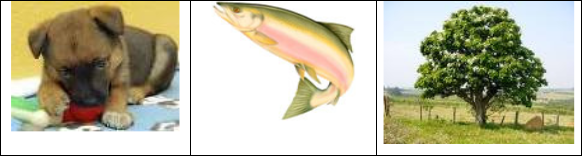 0_6e6f836fc933dc681fc551ced075c892_11691671.jpg.png