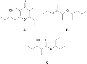 0_6ef89db55b16079d500f27d66fe9f453_15048870.jpg.png