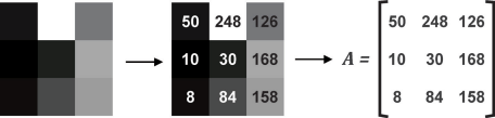 0_6f213cc4690bb3c02dafdd272e2f79e6_16240212.jpg.png